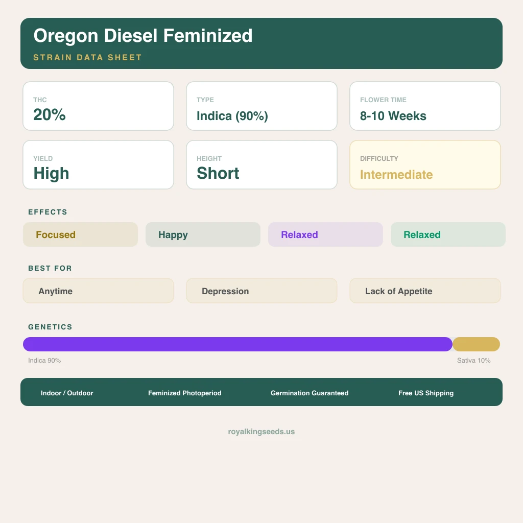 Oregon Diesel 90% Indica / 10% Sativa — Blüte mit sichtbaren Trichomen