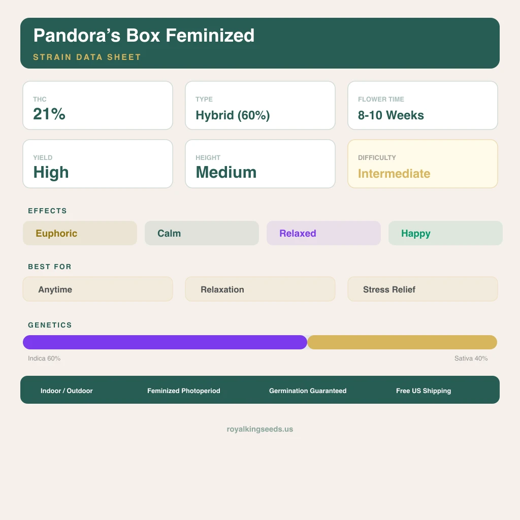 Pandora’s Box 60% Indica / 40% Sativa — Blüte mit sichtbaren Trichomen