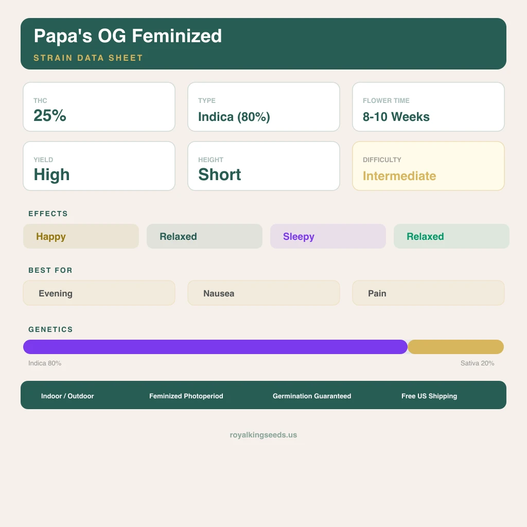 Papa's OG 80% Indica / 20% Sativa — Blüte mit sichtbaren Trichomen