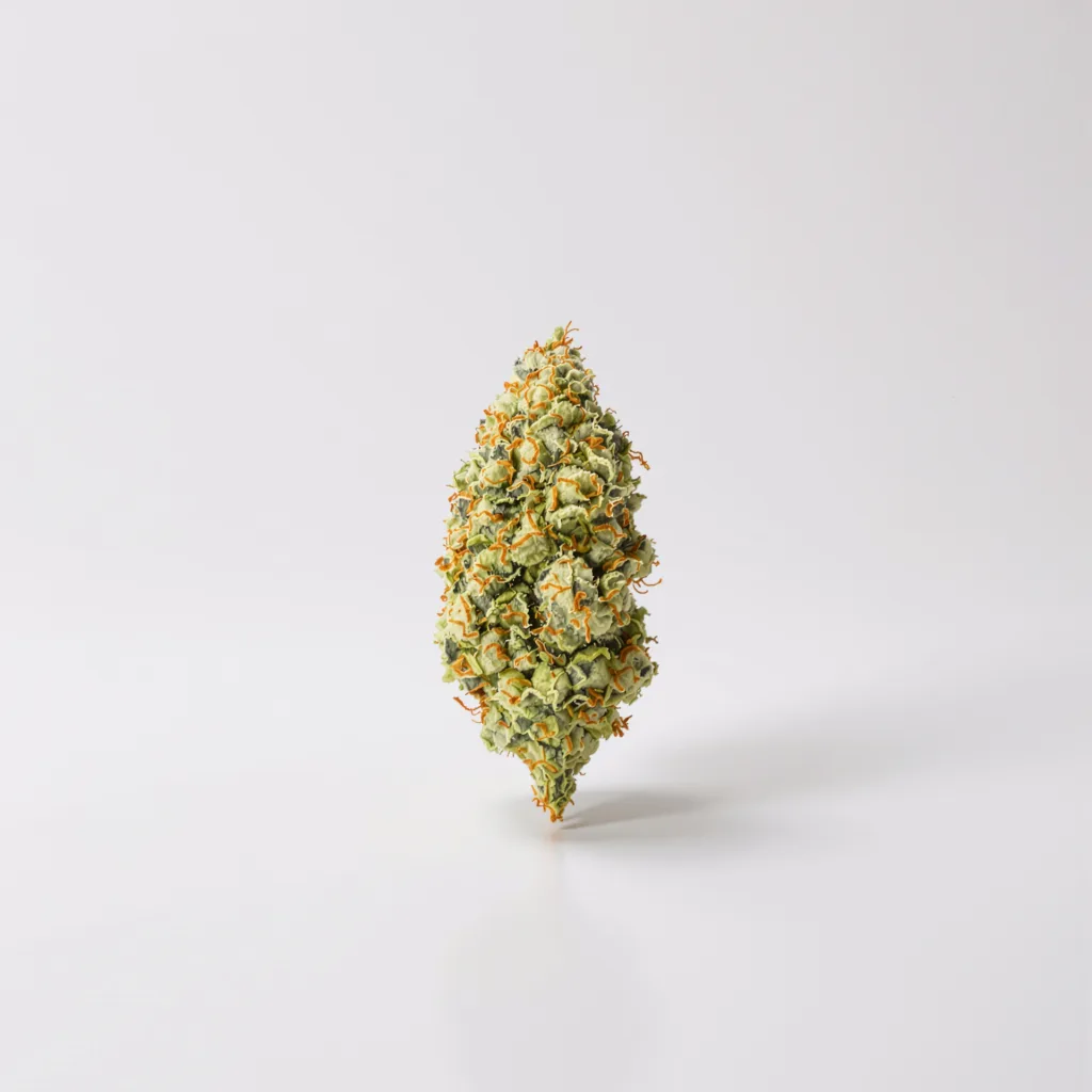 Pennywise CBD 58% Indica / 42% Sativa — Blüte mit sichtbaren Trichomen