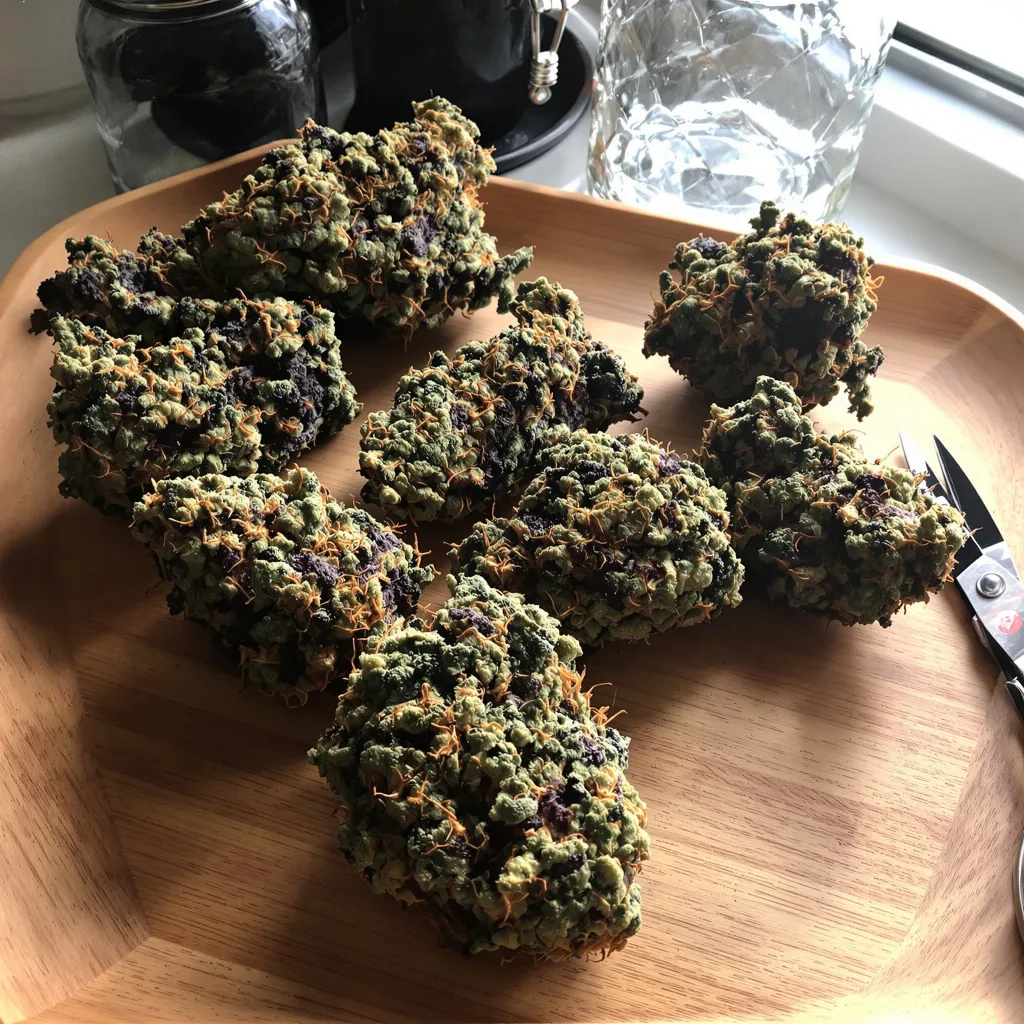 Pennywise 80% Indica / 20% Sativa — Blüte mit sichtbaren Trichomen