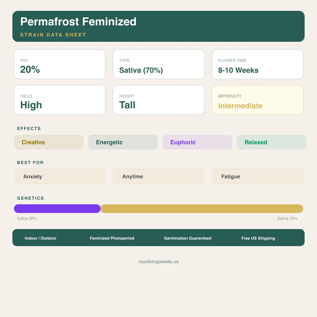 Permafrost 30% Indica / 70% Sativa — Blüte mit sichtbaren Trichomen