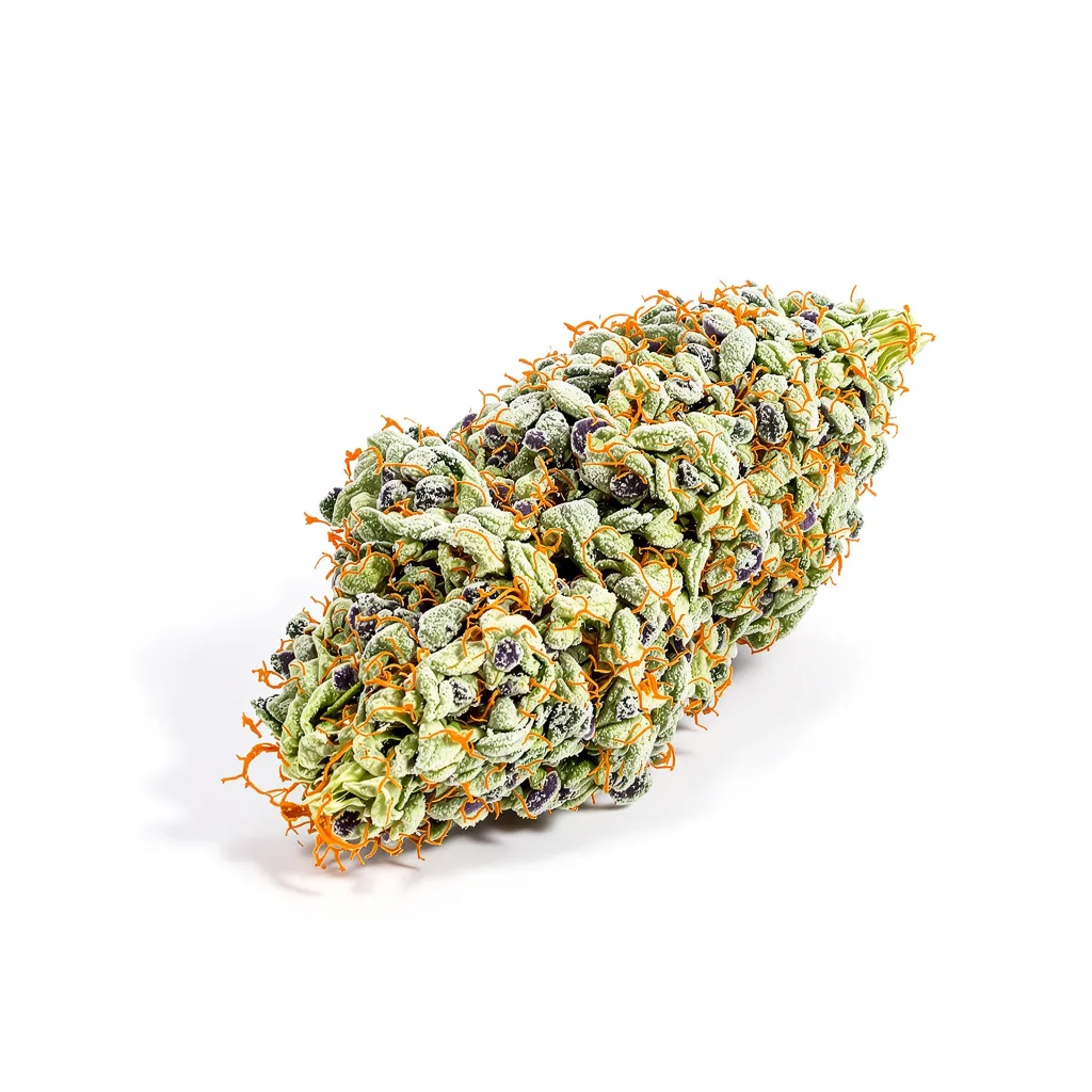 Pie Scream 53% Indica / 47% Sativa — Blüte mit sichtbaren Trichomen