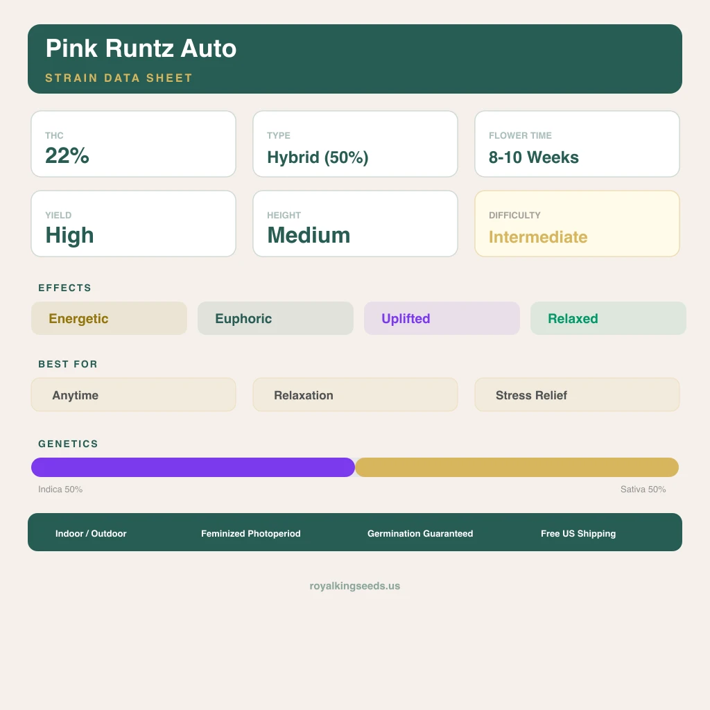 Pink Runtz 50% Indica / 50% Sativa — Blüte mit sichtbaren Trichomen
