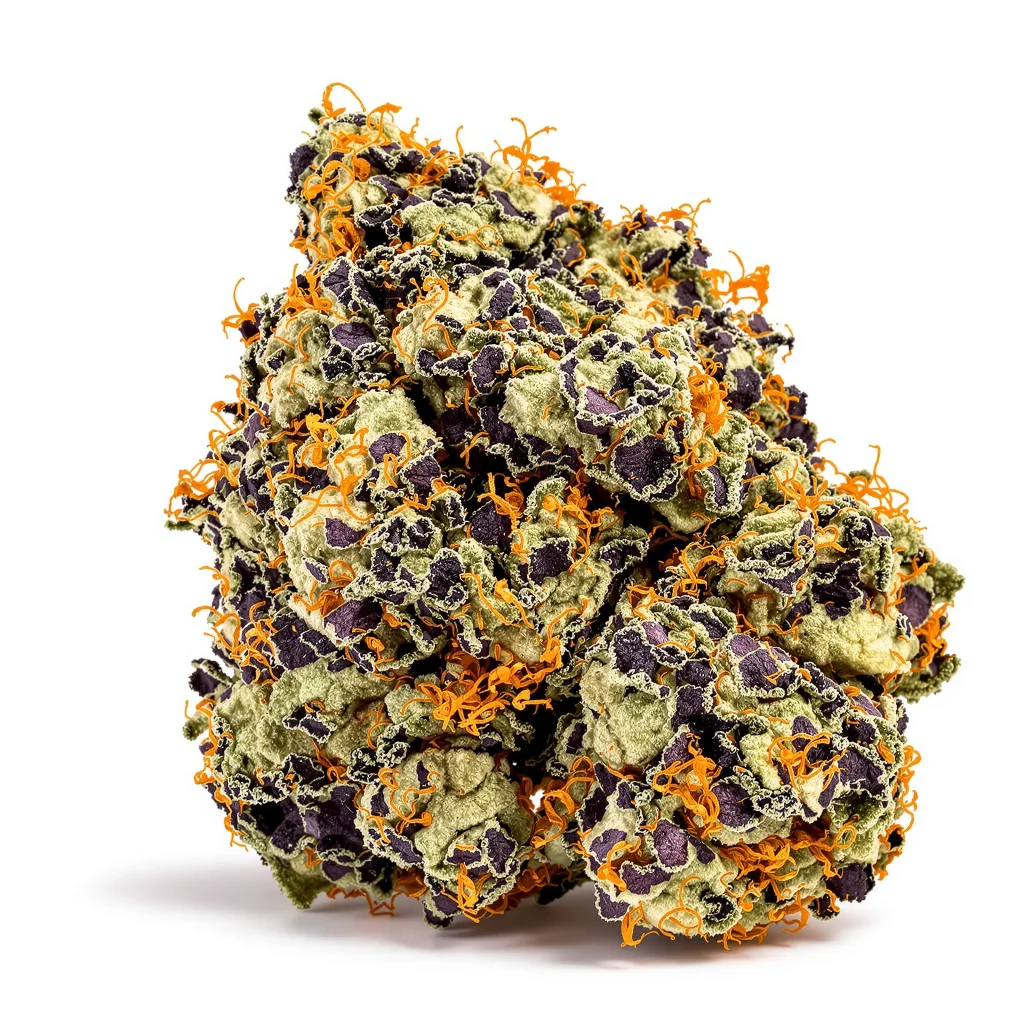 Pluto Kush 88% Indica / 12% Sativa — Blüte mit sichtbaren Trichomen