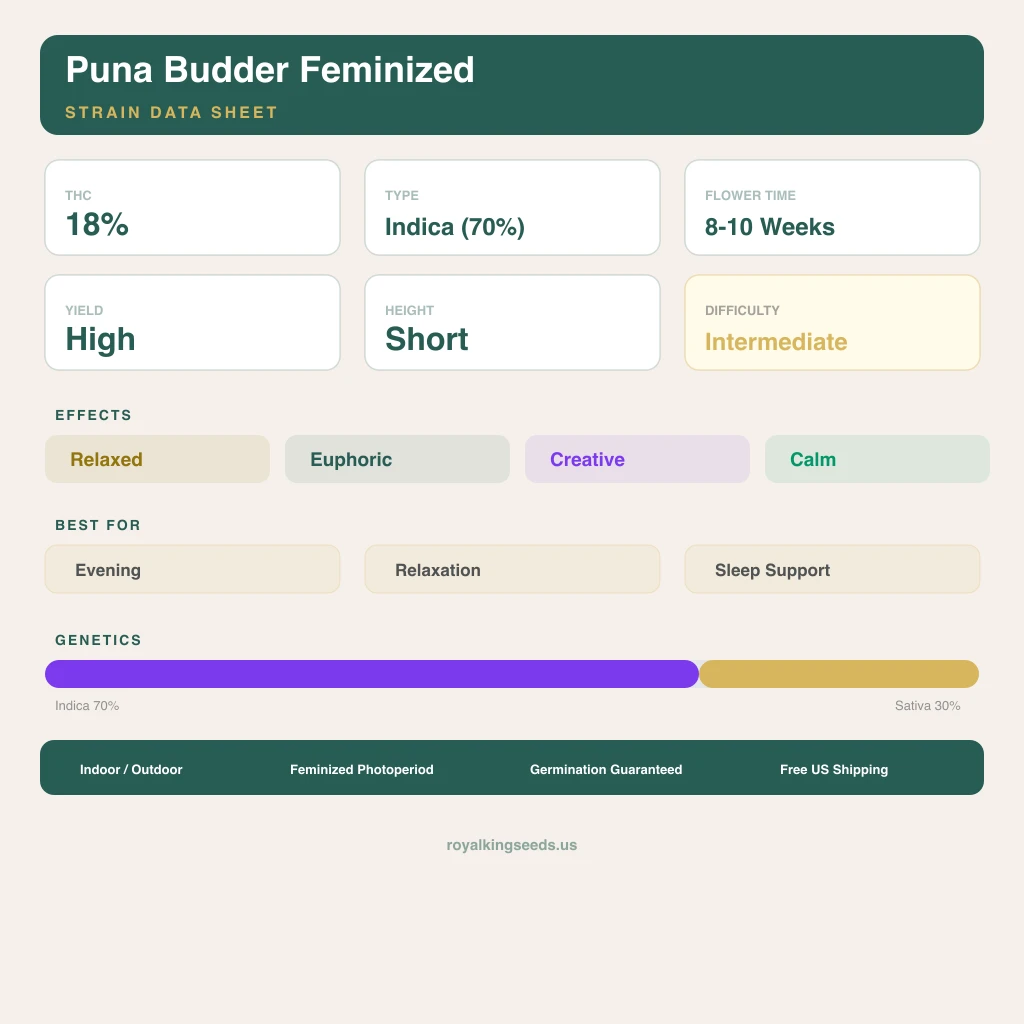 Puna Budder 70% Indica / 30% Sativa — Blüte mit sichtbaren Trichomen
