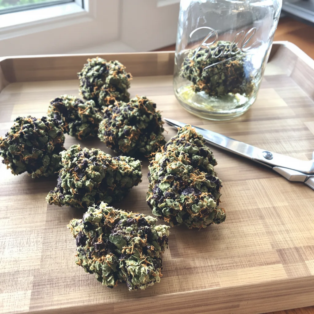 Pure Kush 70% Indica / 30% Sativa — Blüte mit sichtbaren Trichomen