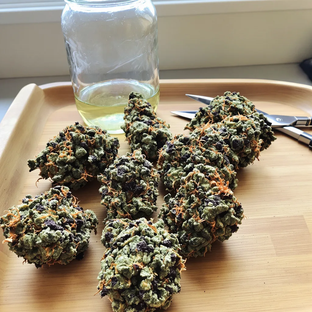 Pure OG 86% Indica / 14% Sativa — Blüte mit sichtbaren Trichomen