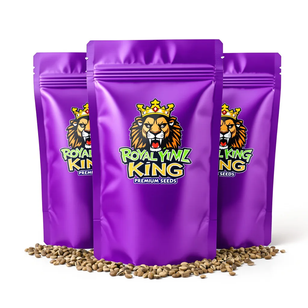 Purple Nepal Candy 39% Indica / 61% Sativa — Blüte mit sichtbaren Trichomen