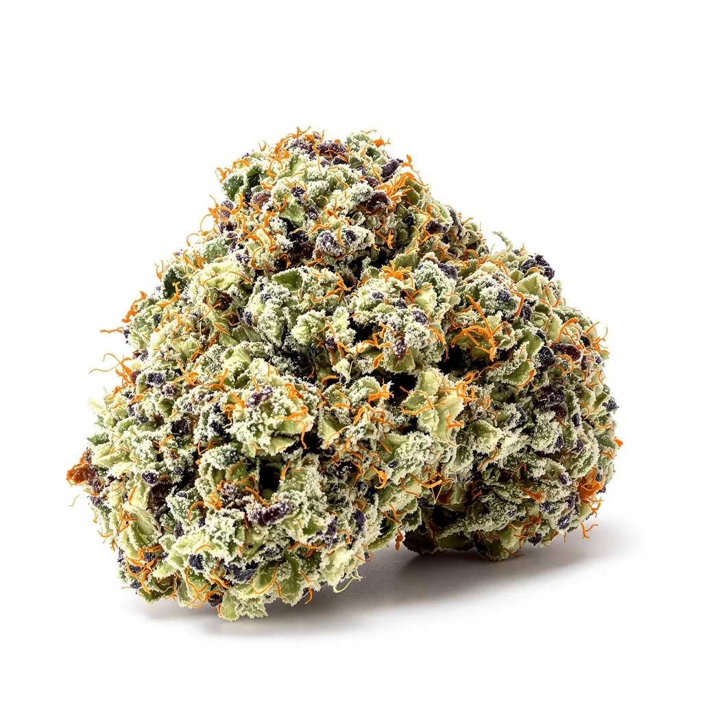 Purple Pantera 63% Indica / 37% Sativa — Blüte mit sichtbaren Trichomen