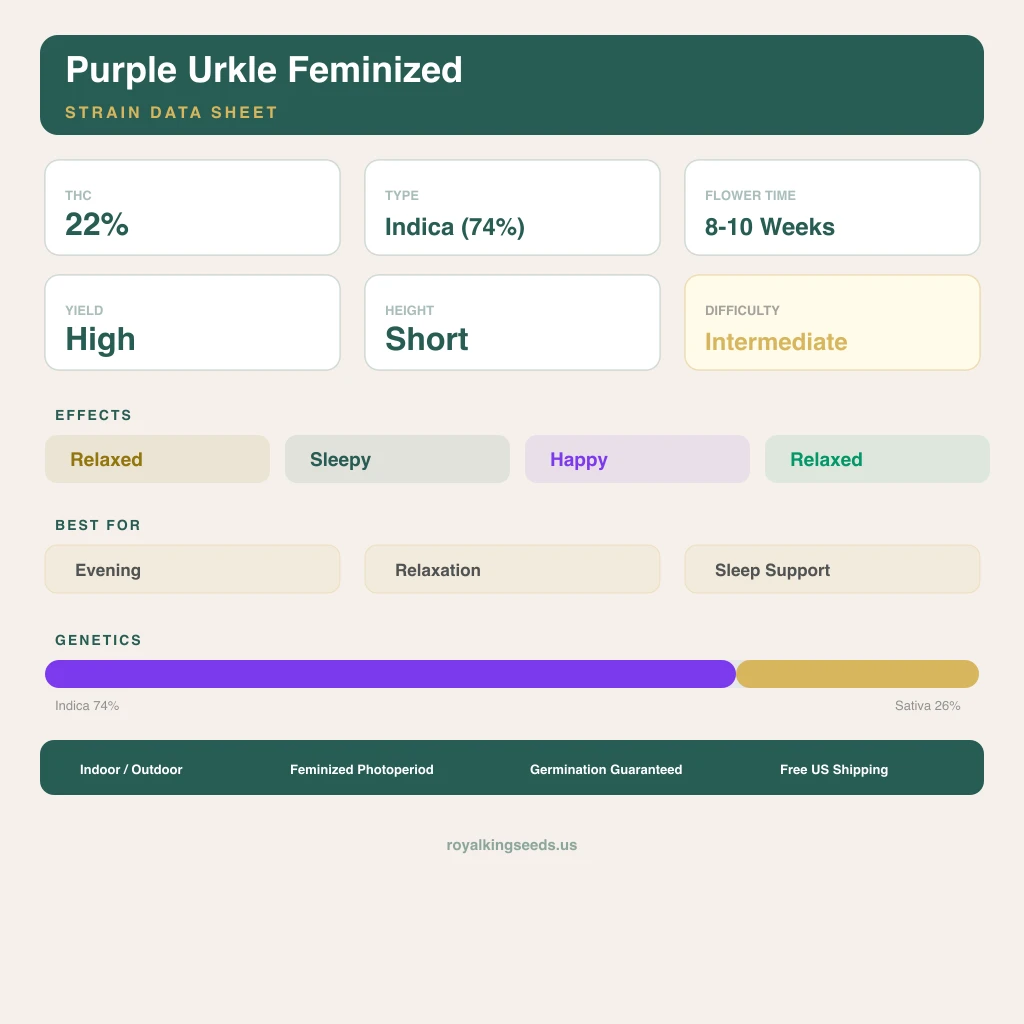 Purple Urkle 74% Indica / 26% Sativa — Blüte mit sichtbaren Trichomen