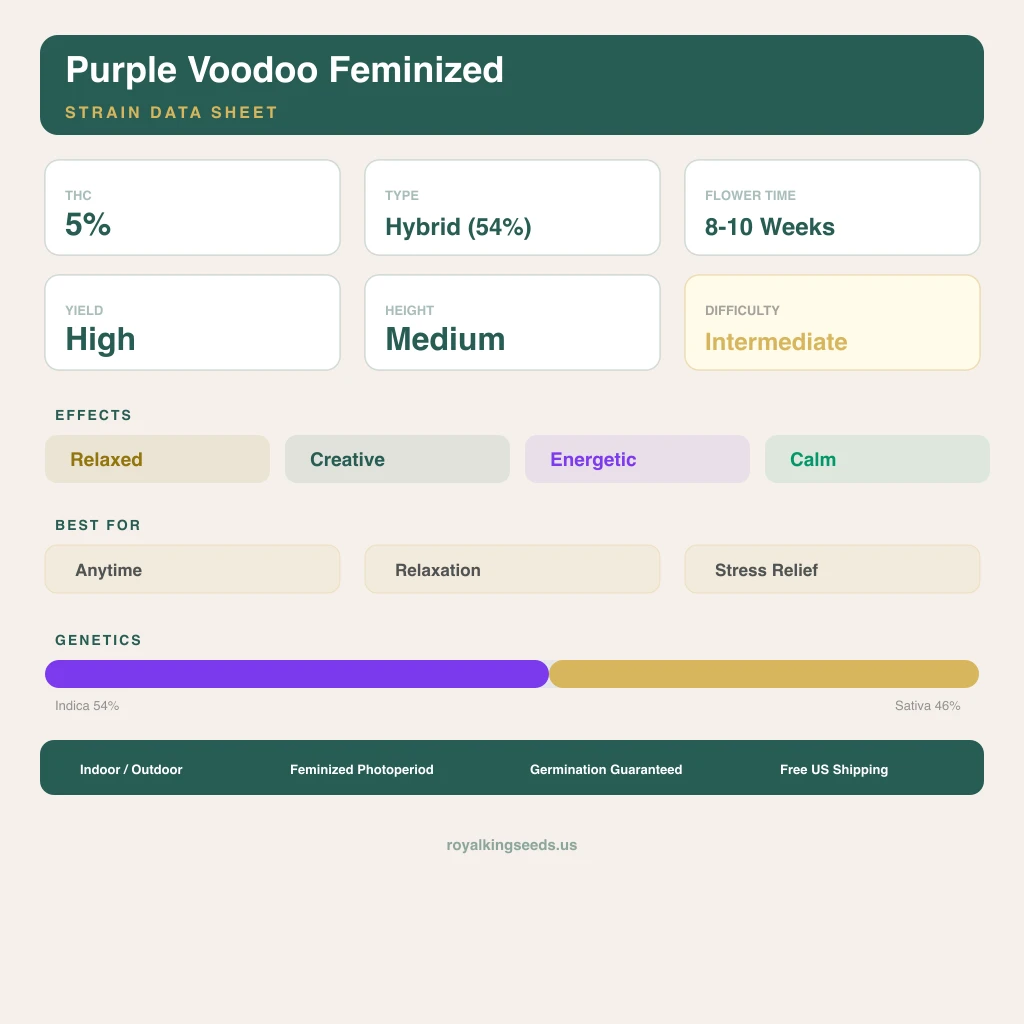 Purple Voodoo 54% Indica / 46% Sativa — Blüte mit sichtbaren Trichomen
