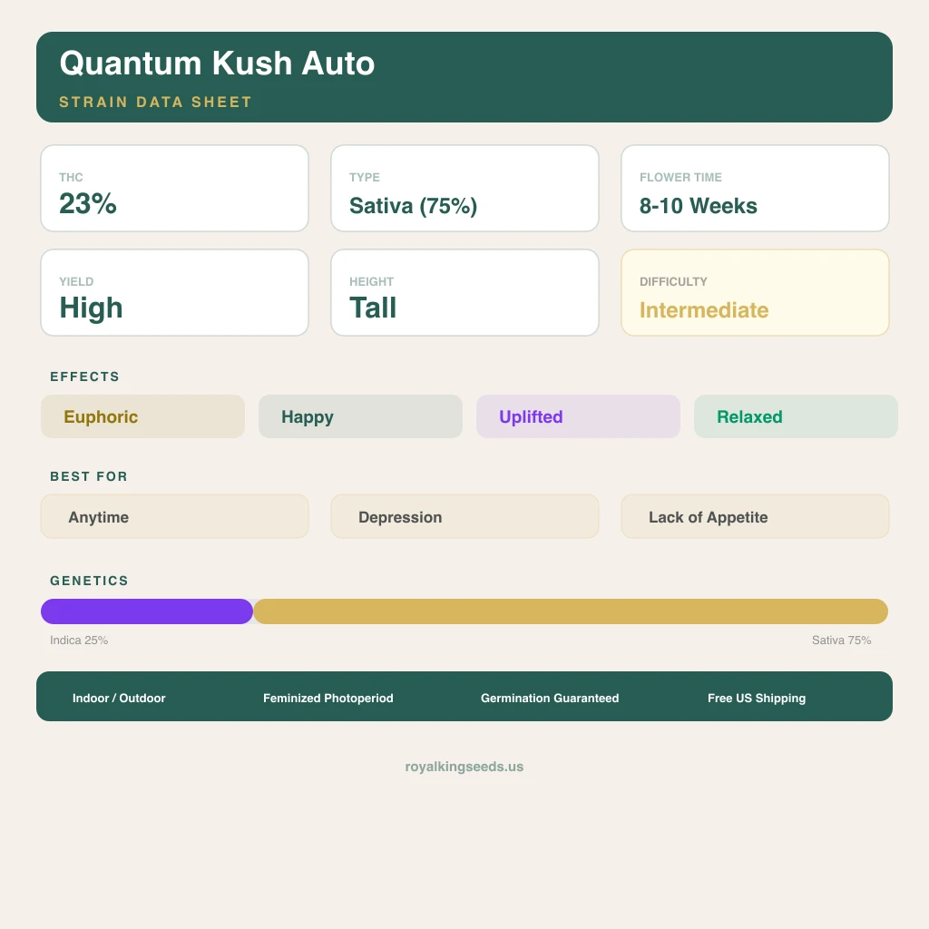Quantum Kush 25% Indica / 75% Sativa — Blüte mit sichtbaren Trichomen
