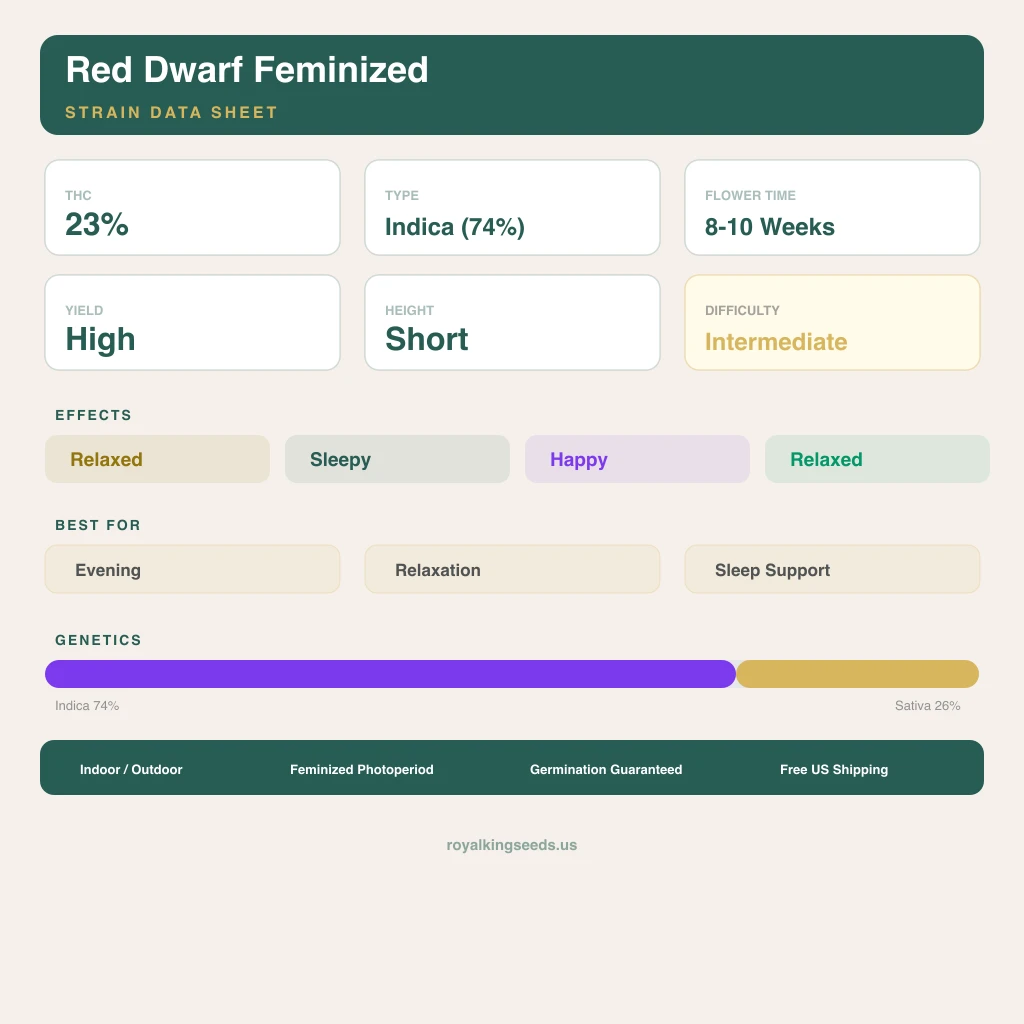 Red Dwarf 74% Indica / 26% Sativa — Blüte mit sichtbaren Trichomen