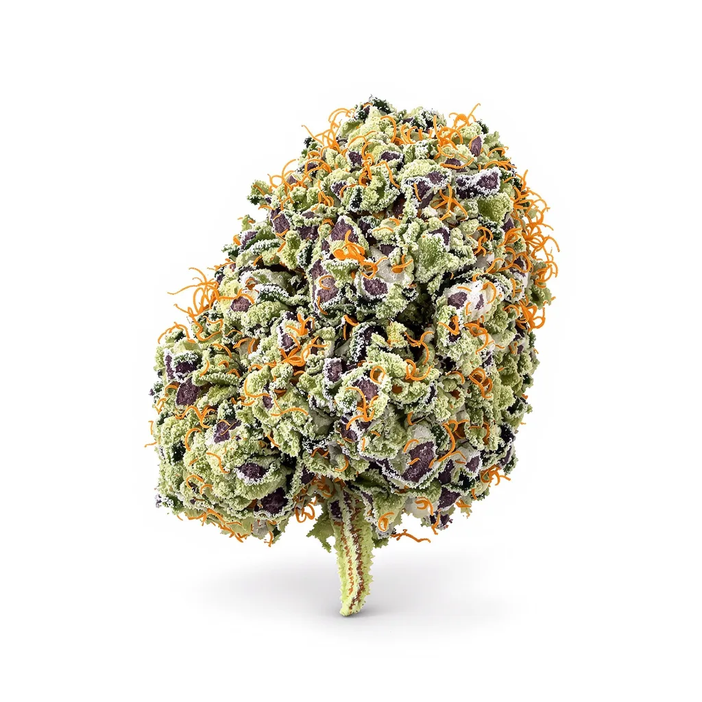 Rockstar 50% Indica / 50% Sativa — Blüte mit sichtbaren Trichomen