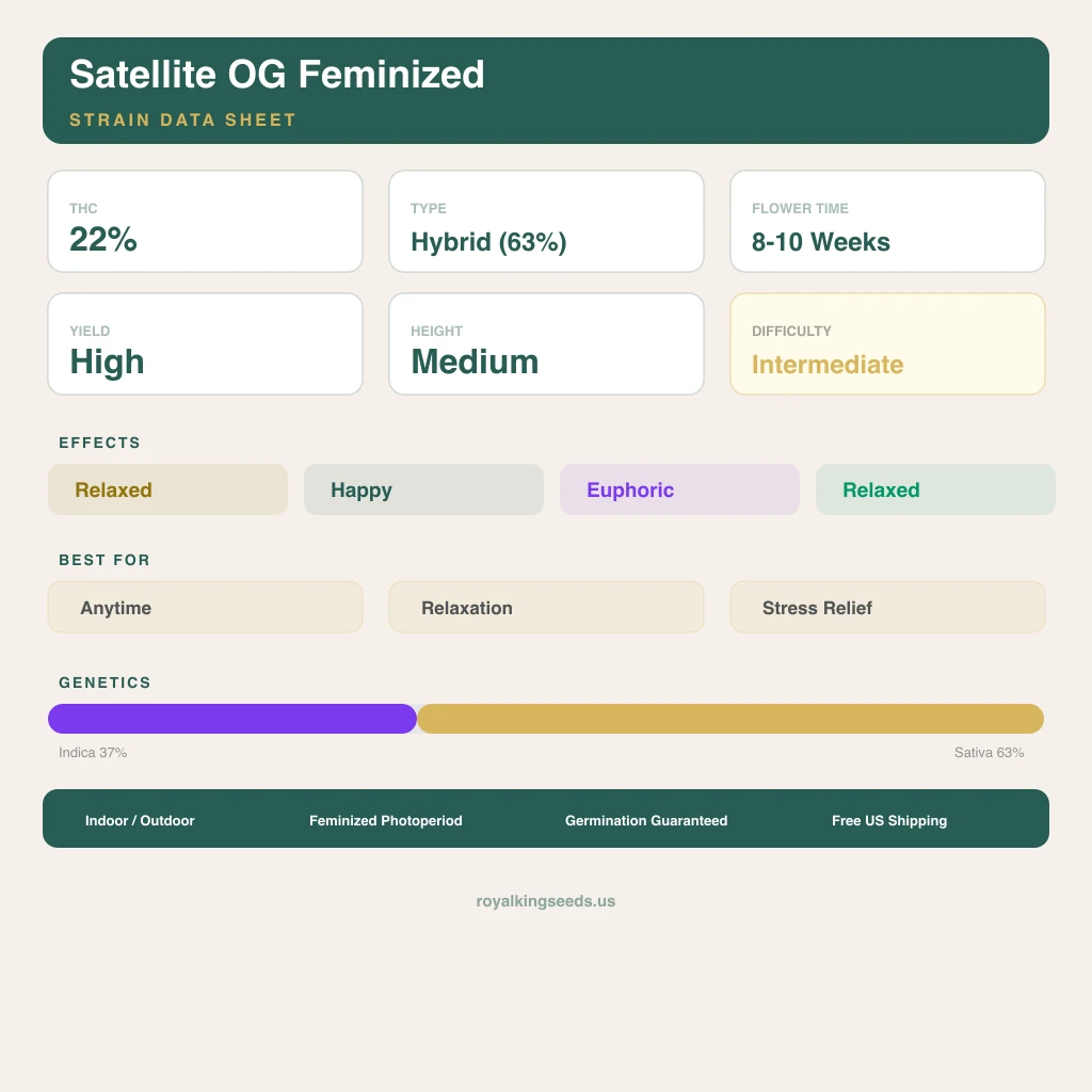 Satellite OG 37% Indica / 63% Sativa — Blüte mit sichtbaren Trichomen