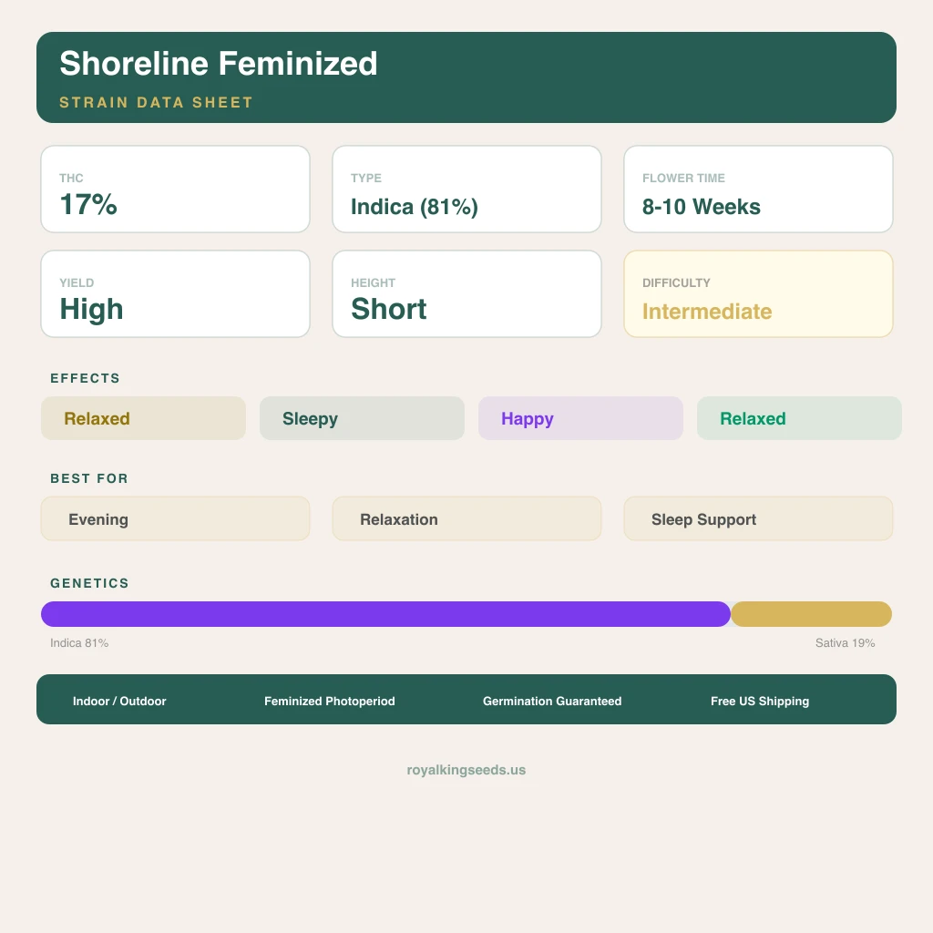 Shoreline 81% Indica / 19% Sativa — Blüte mit sichtbaren Trichomen