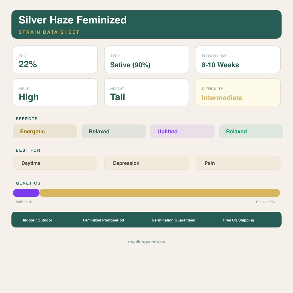 Silver Haze 10% Indica / 90% Sativa — Blüte mit sichtbaren Trichomen