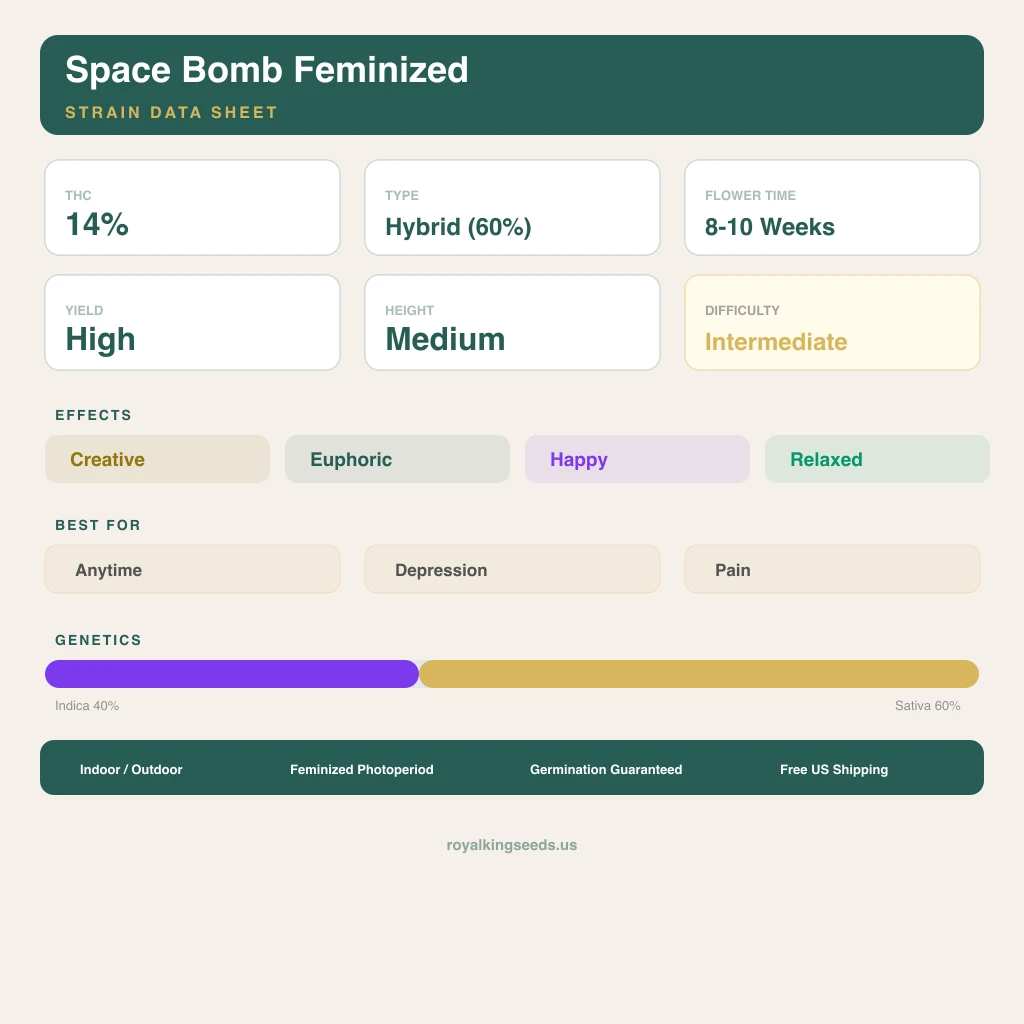 Space Bomb 40% Indica / 60% Sativa — Blüte mit sichtbaren Trichomen