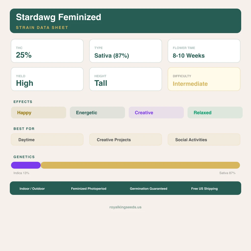 Stardawg 13% Indica / 87% Sativa — Blüte mit sichtbaren Trichomen