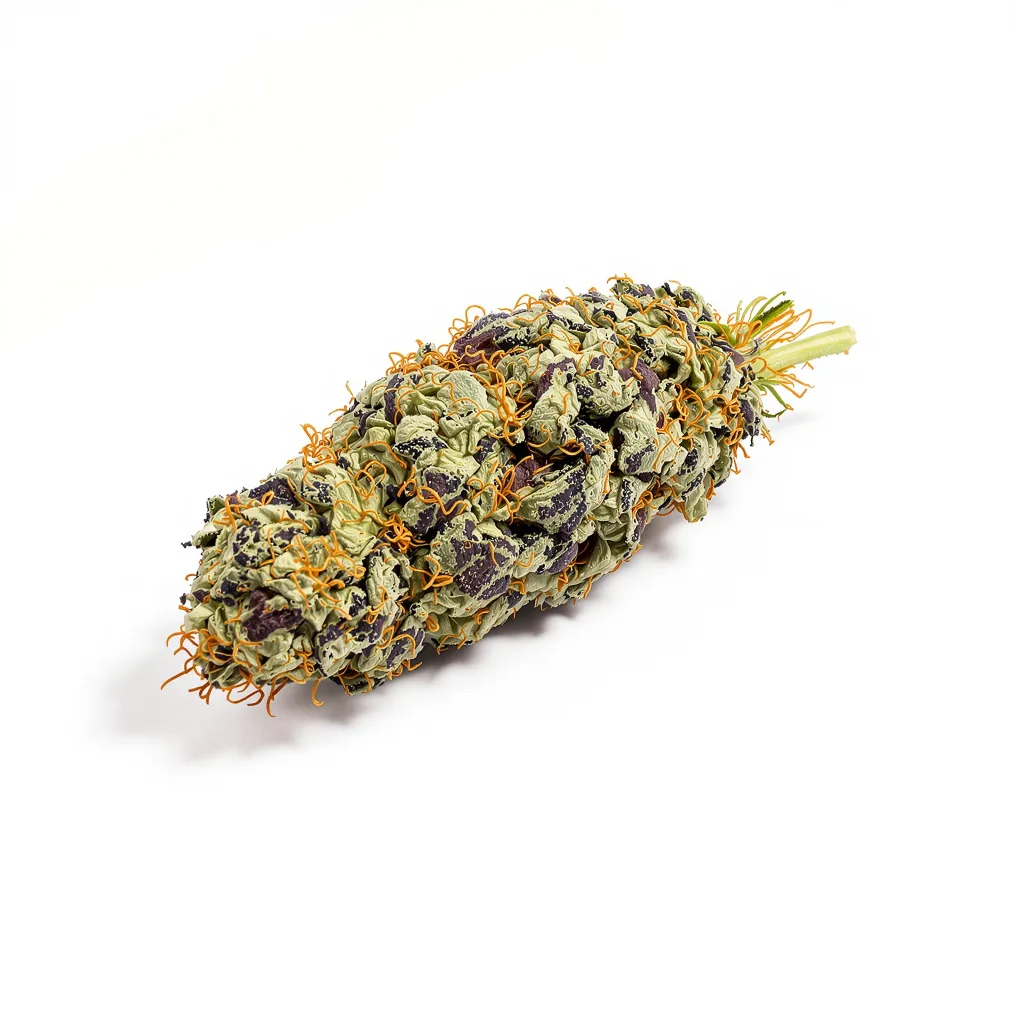 Super Skunk 70% Indica / 30% Sativa — Blüte mit sichtbaren Trichomen