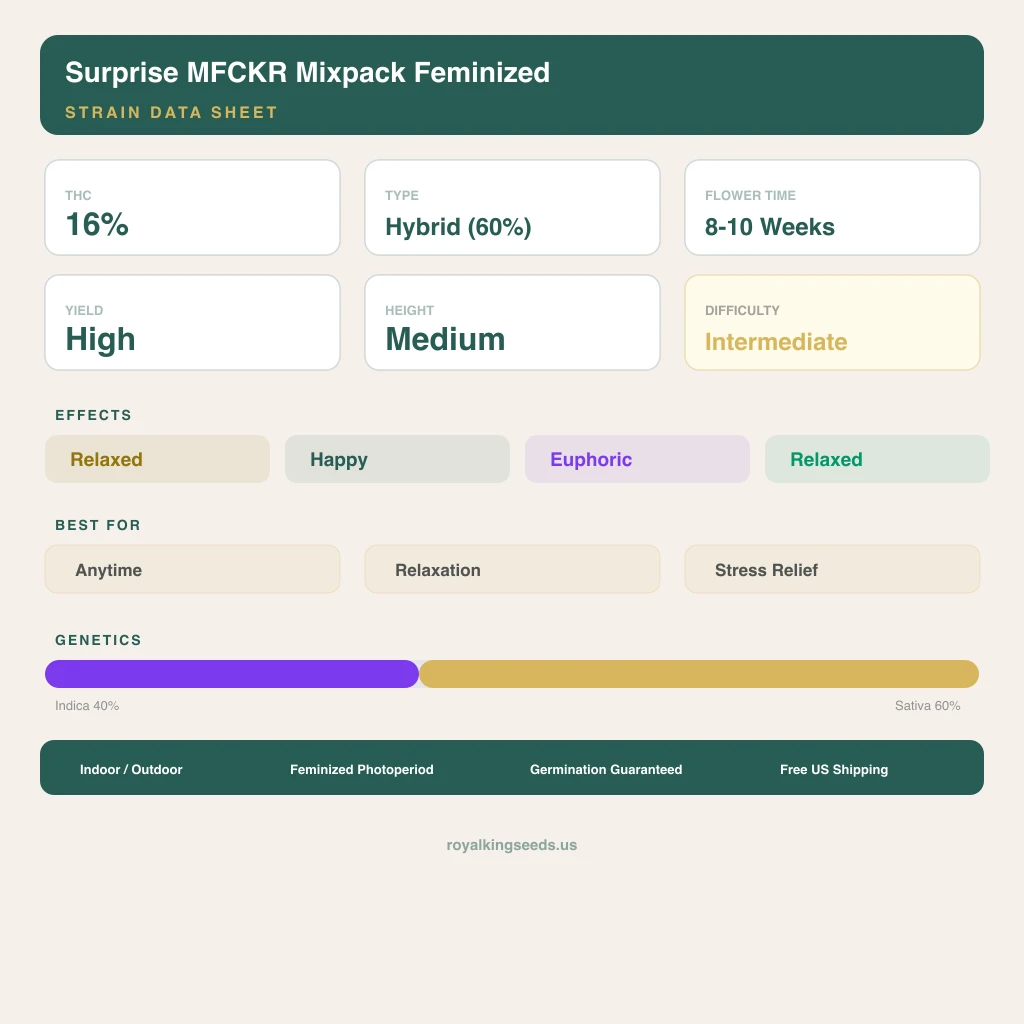 Surprise MFCKR Mixpack 40% Indica / 60% Sativa — Blüte mit sichtbaren Trichomen