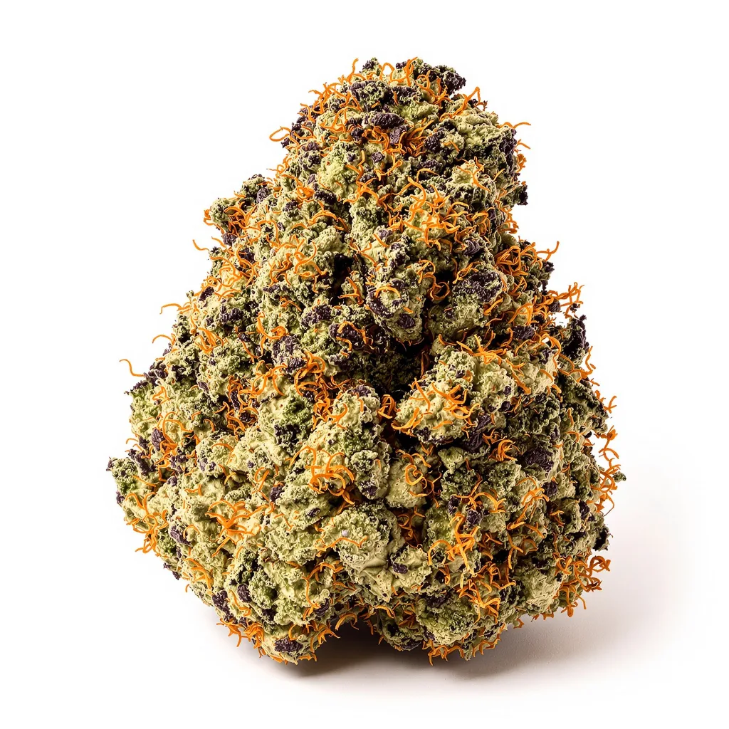 Swiss 72% Indica / 28% Sativa — Blüte mit sichtbaren Trichomen