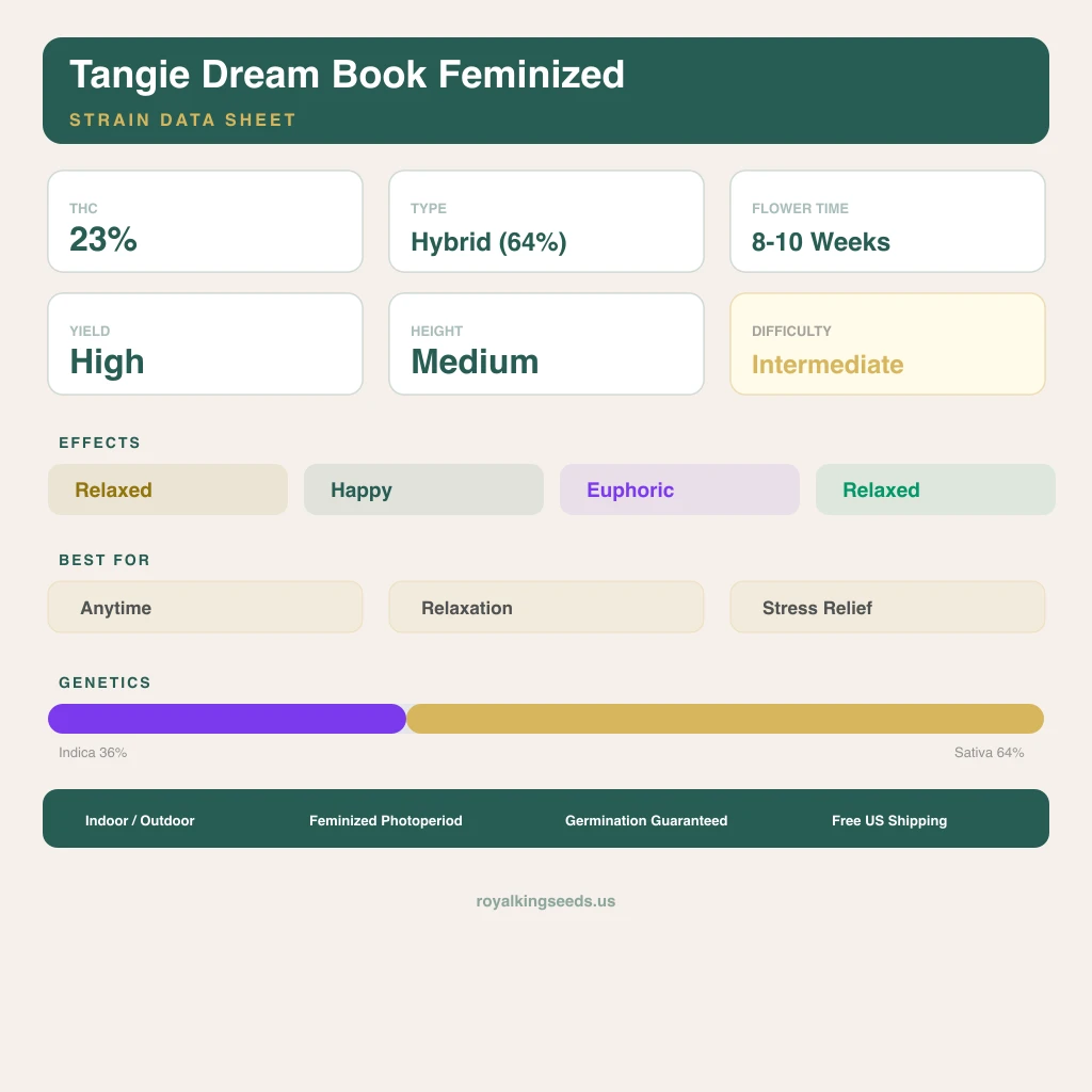 Tangie Dream Book 36% Indica / 64% Sativa — Blüte mit sichtbaren Trichomen