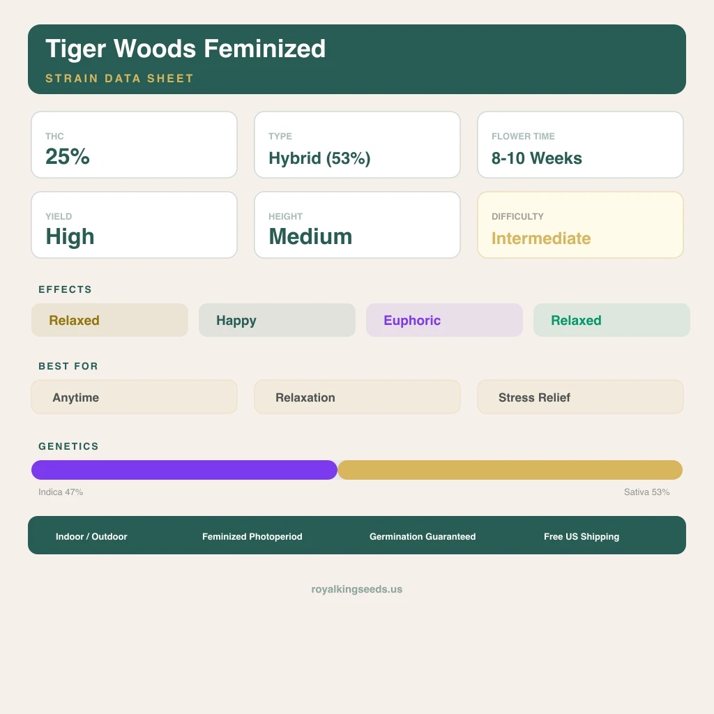 Tiger Woods 47% Indica / 53% Sativa — Blüte mit sichtbaren Trichomen