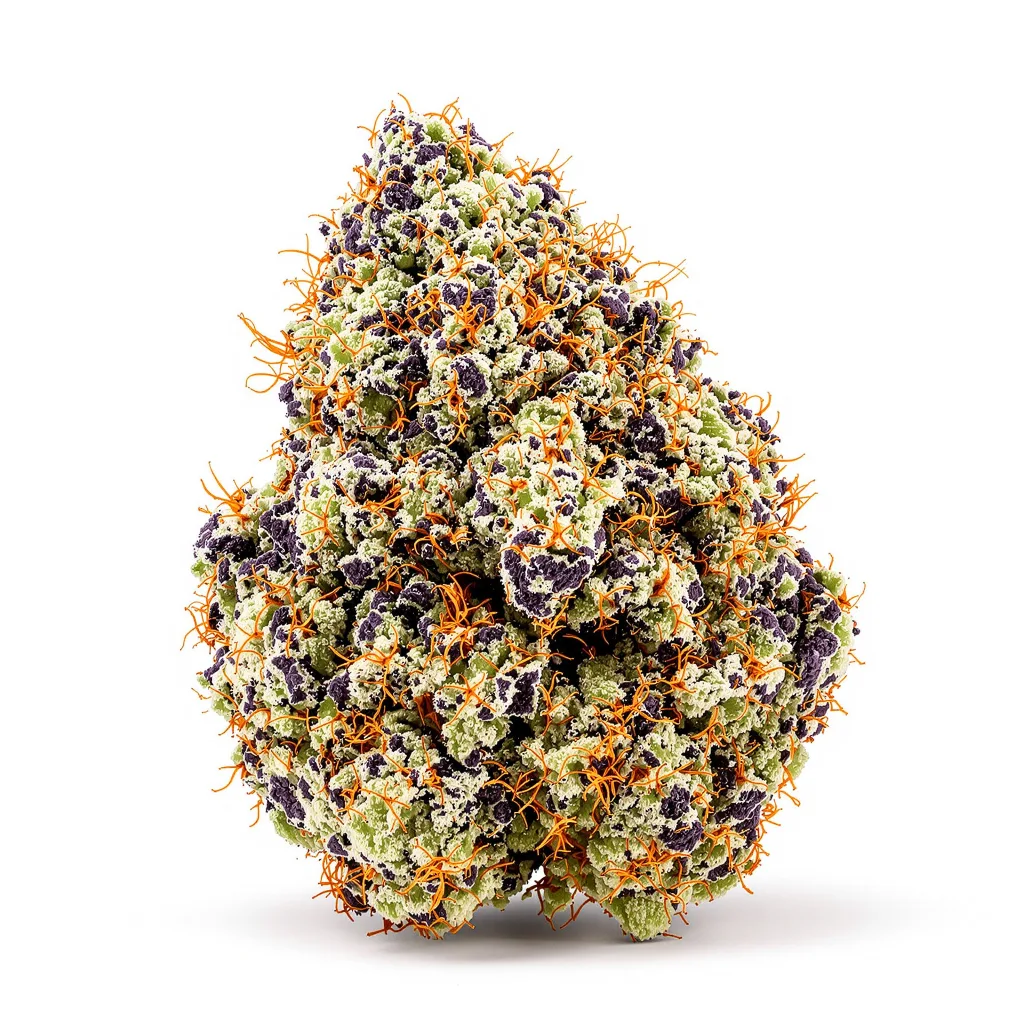 Tigermelon 77% Indica / 23% Sativa — Blüte mit sichtbaren Trichomen