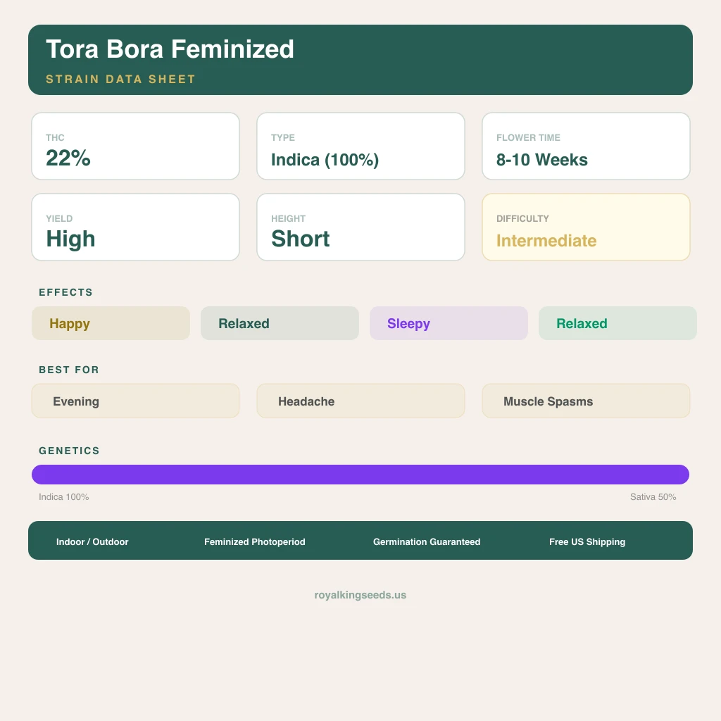Tora Bora 100% Indica / 50% Sativa — Blüte mit sichtbaren Trichomen