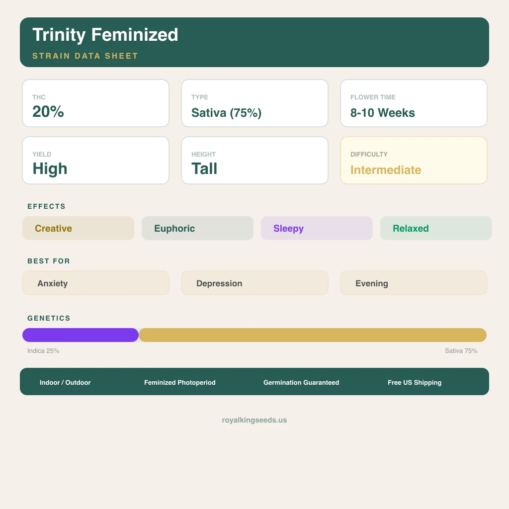 Trinity 25% Indica / 75% Sativa — Blüte mit sichtbaren Trichomen