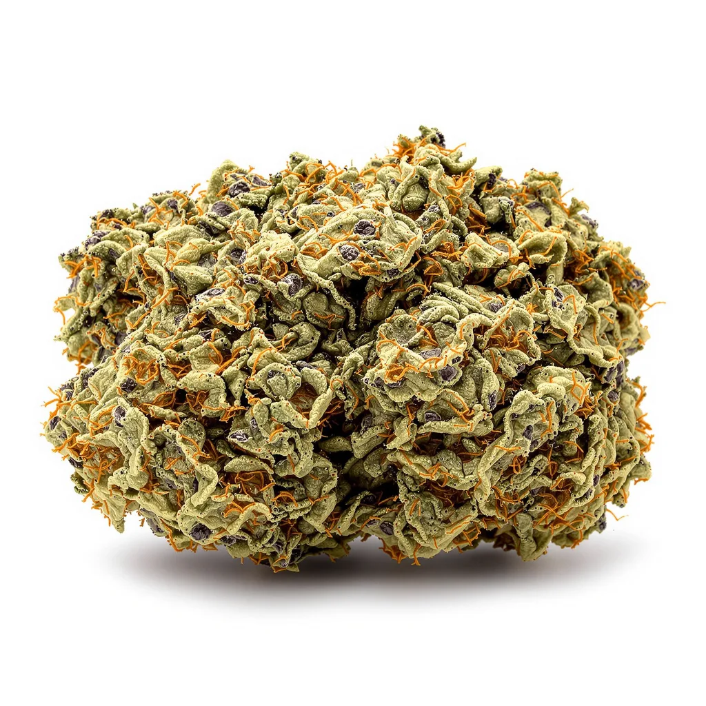 Tropicana Cookies Purple 76% Indica / 24% Sativa — Blüte mit sichtbaren Trichomen