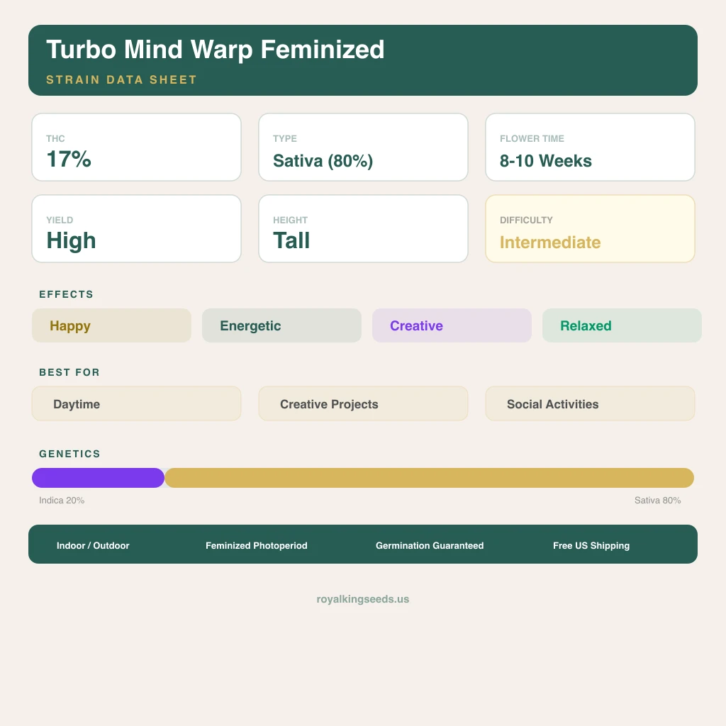 Turbo Mind Warp 20% Indica / 80% Sativa — Blüte mit sichtbaren Trichomen