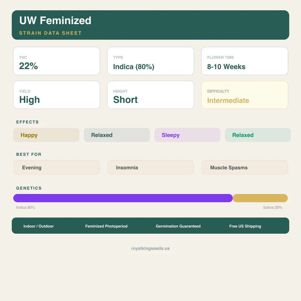 UW 80% Indica / 20% Sativa — Blüte mit sichtbaren Trichomen