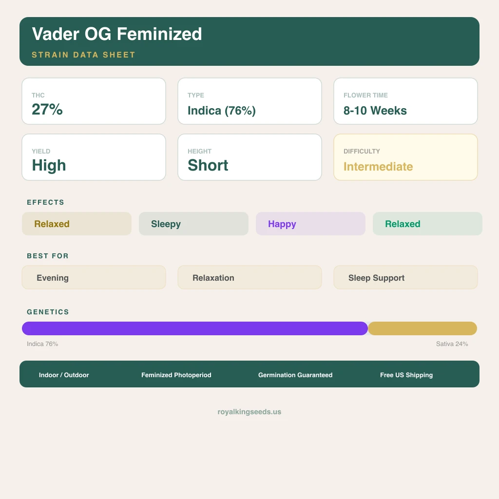 Vader OG 76% Indica / 24% Sativa — Blüte mit sichtbaren Trichomen