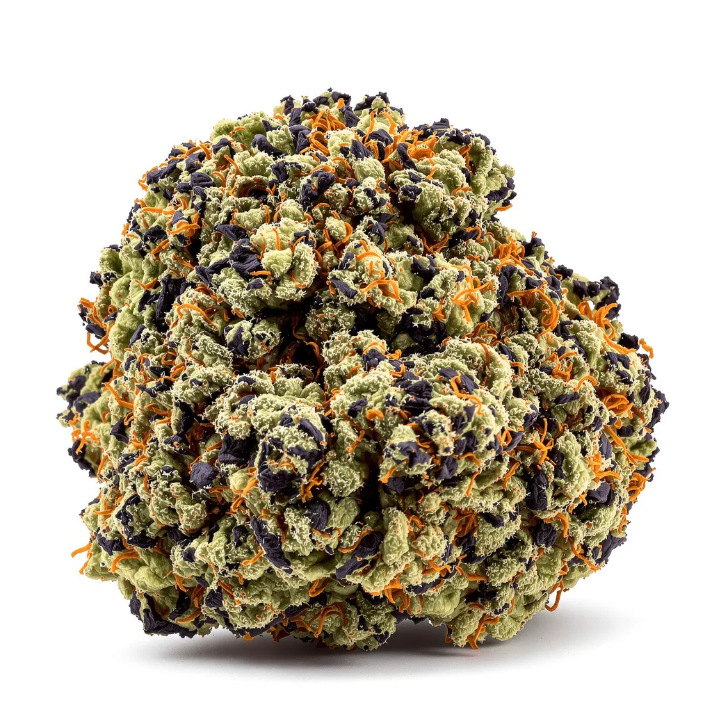 Watermelon 80% Indica / 20% Sativa — Blüte mit sichtbaren Trichomen