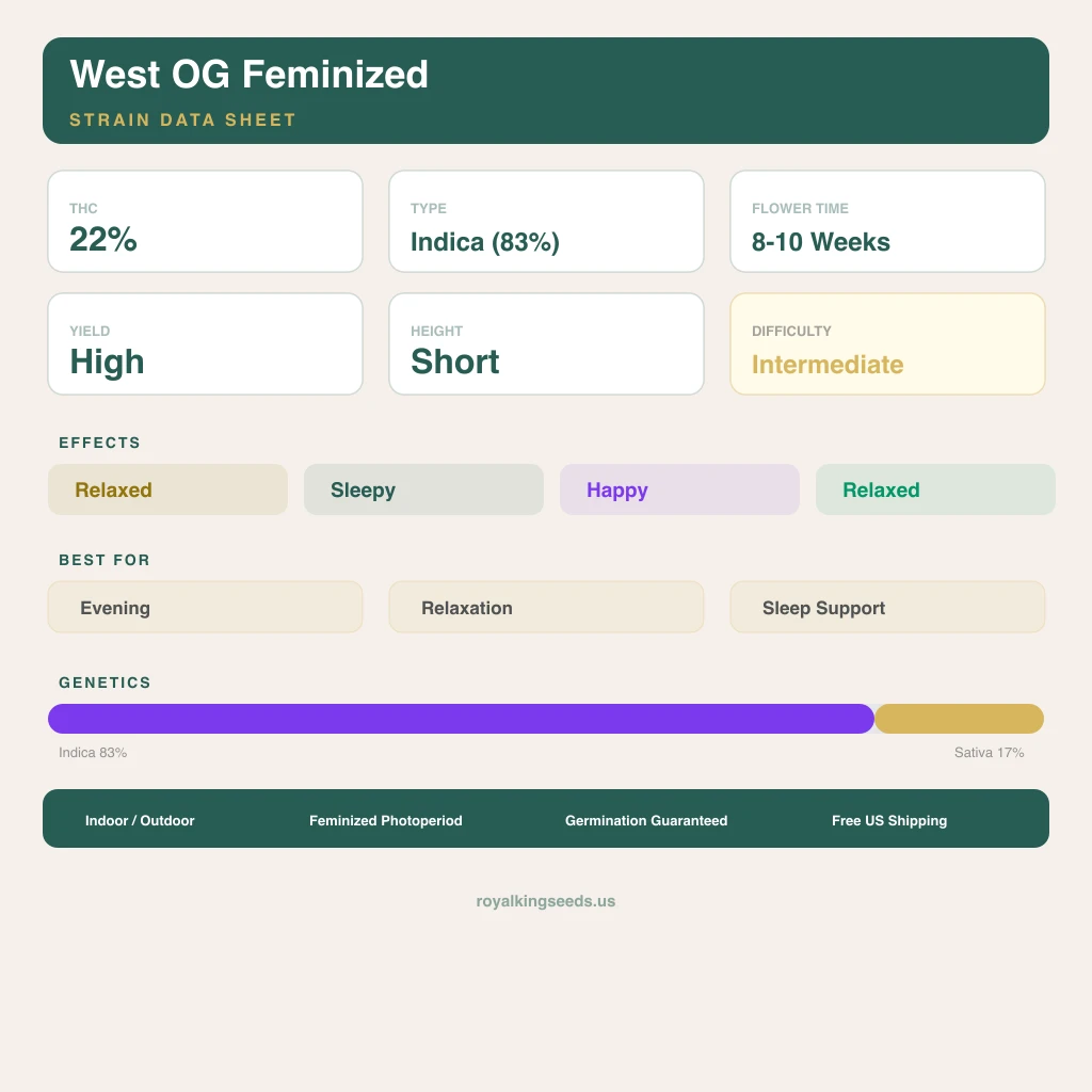 West OG 83% Indica / 17% Sativa — Blüte mit sichtbaren Trichomen