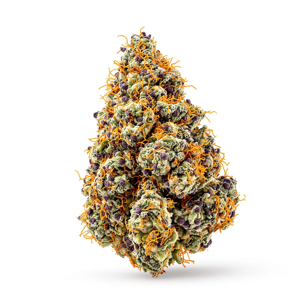 White Fire 43 77% Indica / 23% Sativa — Blüte mit sichtbaren Trichomen
