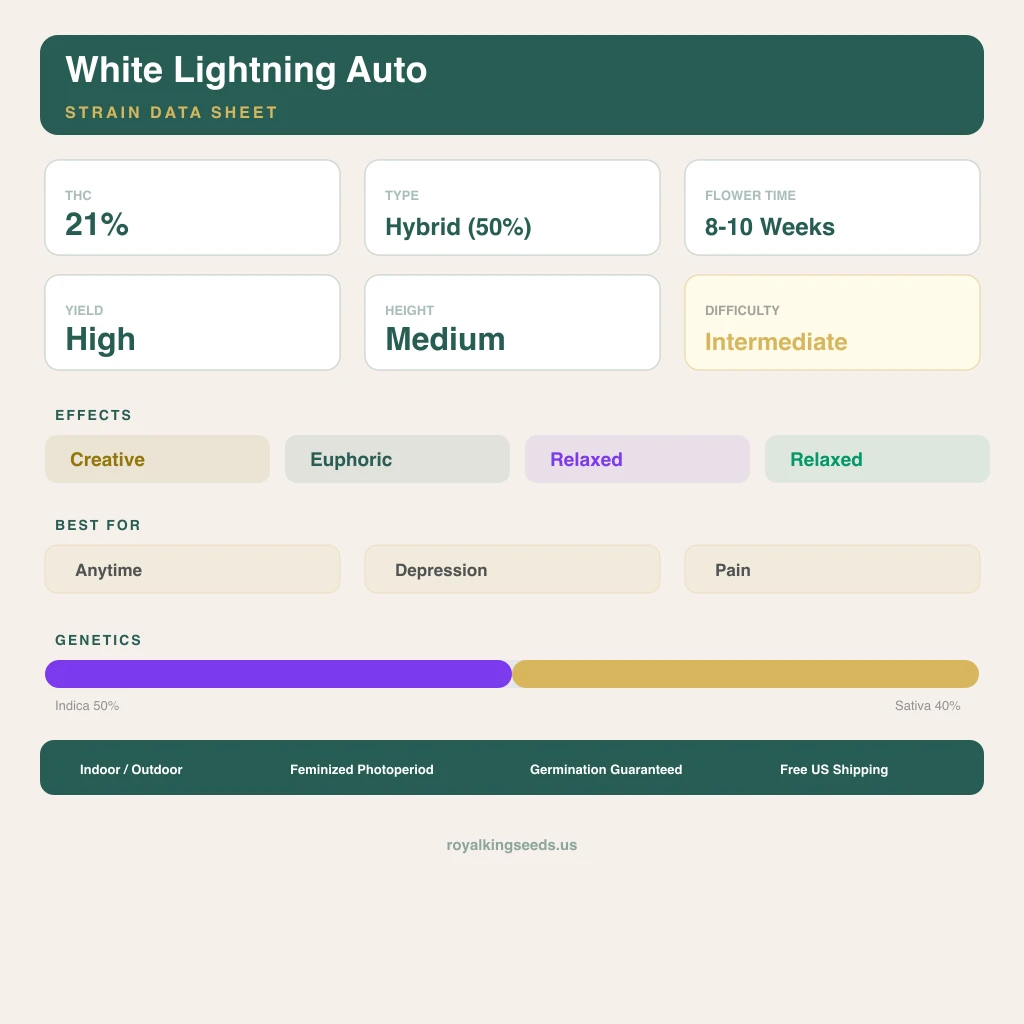 White Lightning 50% Indica / 40% Sativa — Blüte mit sichtbaren Trichomen