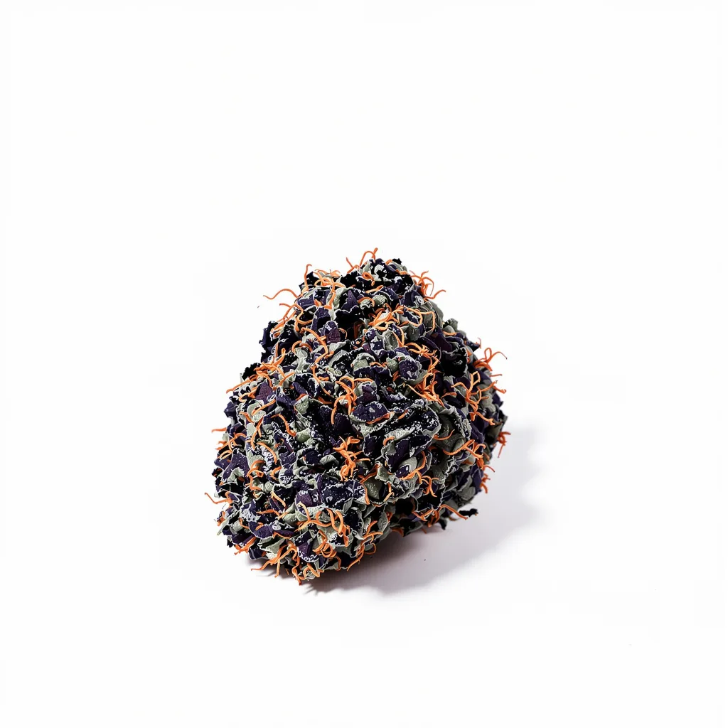 White Rhino 90% Indica / 50% Sativa — Blüte mit sichtbaren Trichomen