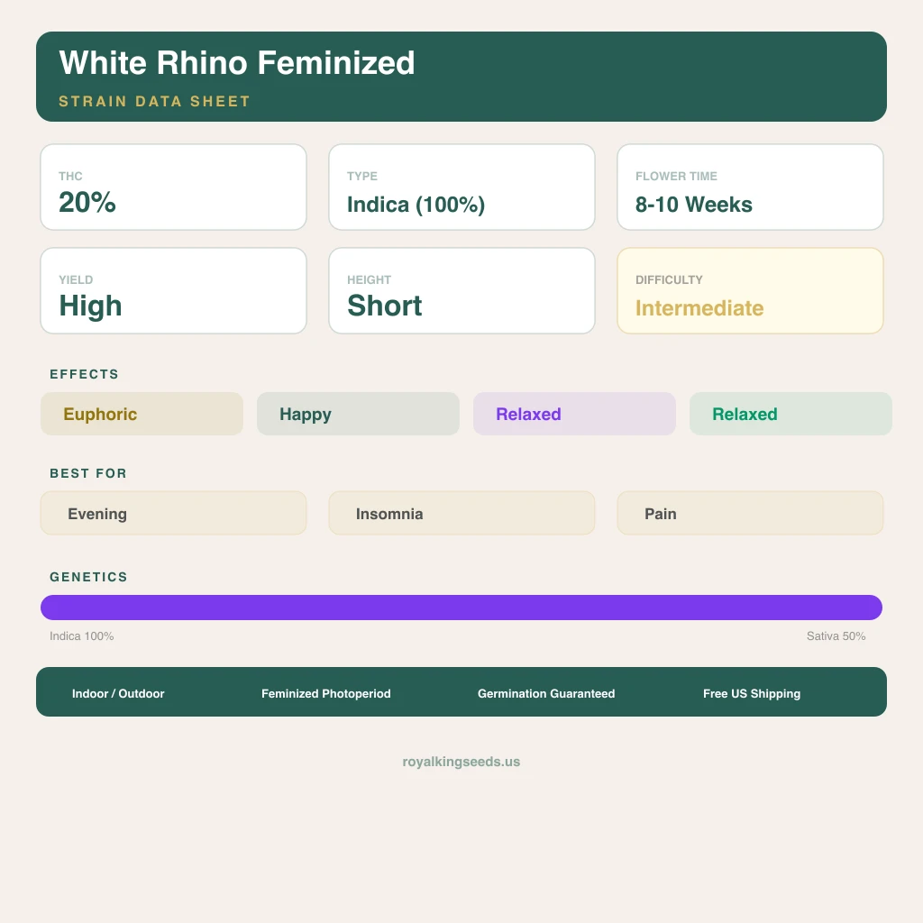 White Rhino 100% Indica / 50% Sativa — Blüte mit sichtbaren Trichomen