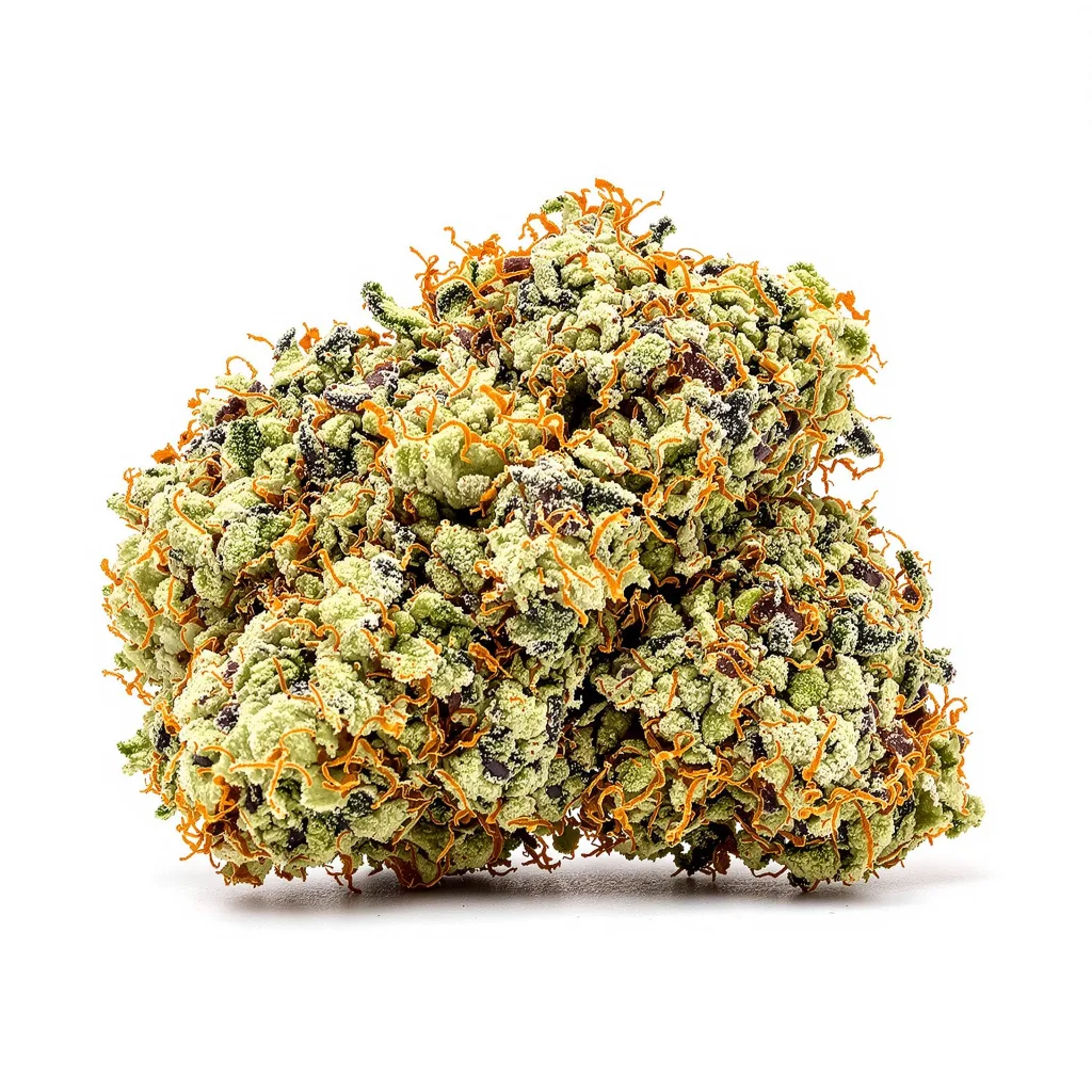 White Russian 50% Indica / 50% Sativa — Blüte mit sichtbaren Trichomen