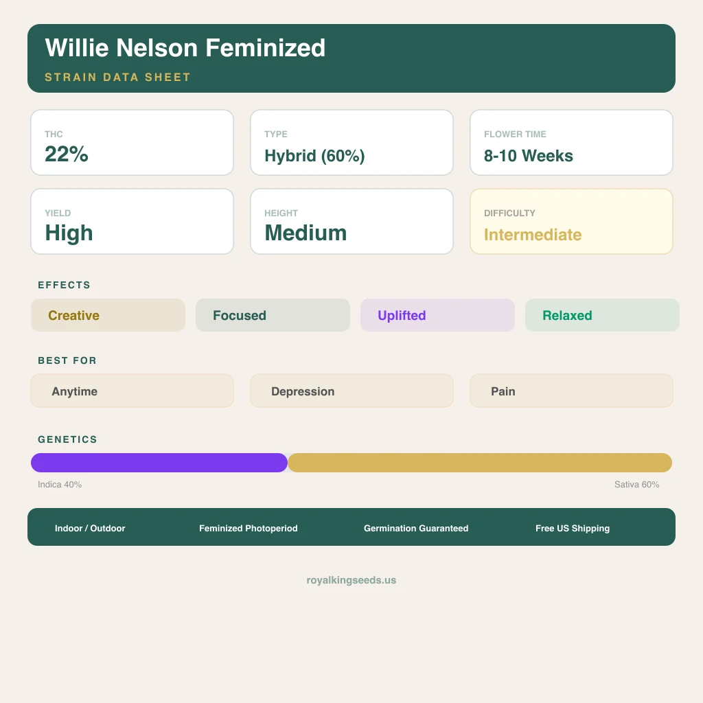 Willie Nelson 40% Indica / 60% Sativa — Blüte mit sichtbaren Trichomen