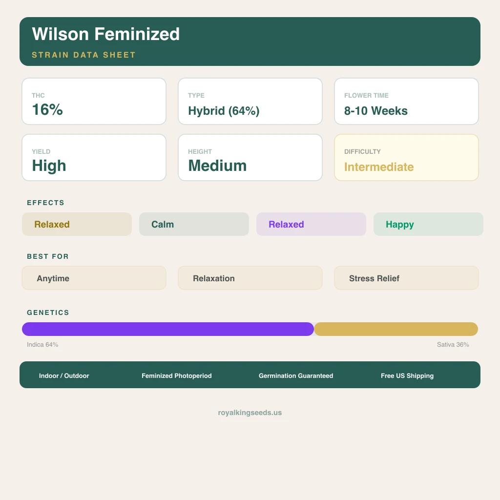 Wilson 64% Indica / 36% Sativa — Blüte mit sichtbaren Trichomen