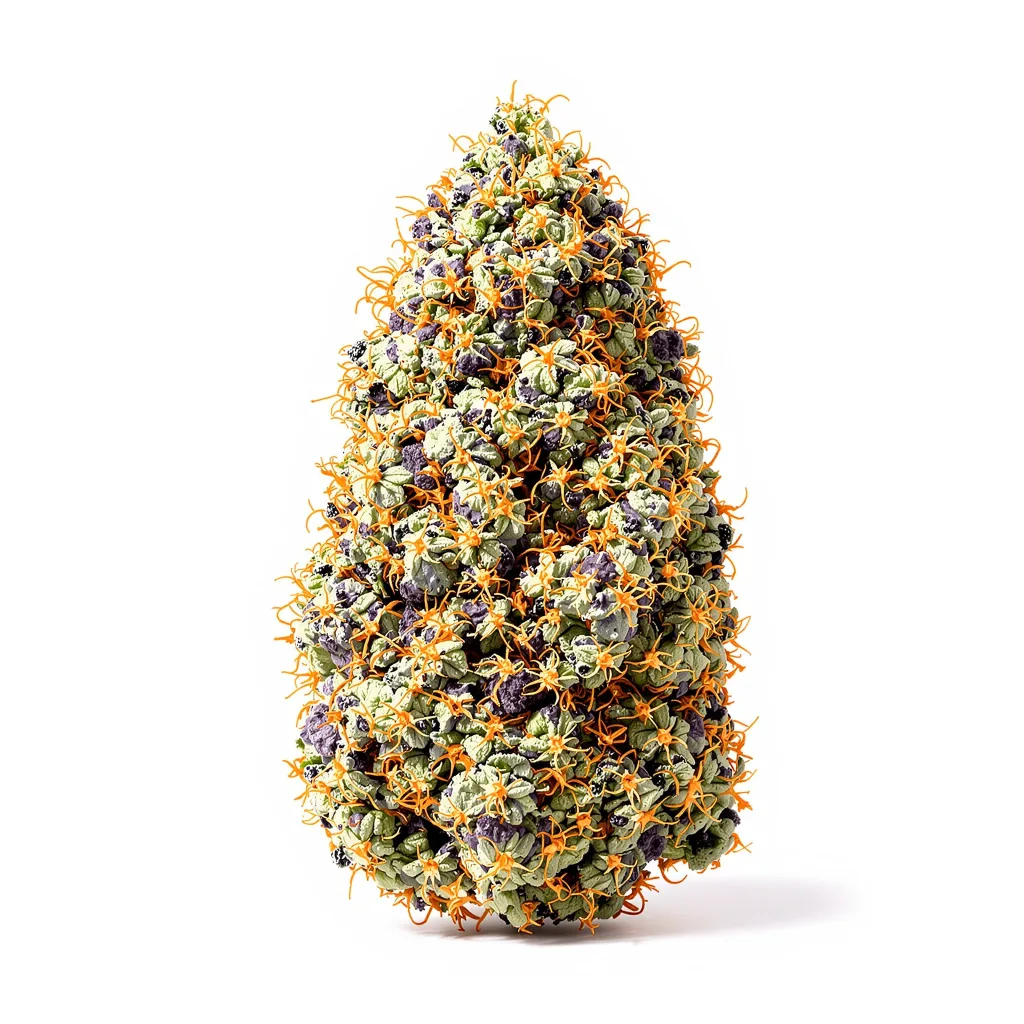 Woody Kush 83% Indica / 17% Sativa — Blüte mit sichtbaren Trichomen